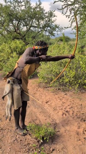 Will the mother pig be able to protect her baby from the predator? #unitedstates #wildlife #hunting