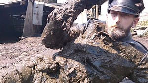 Leather man wallowing in cow shit manure