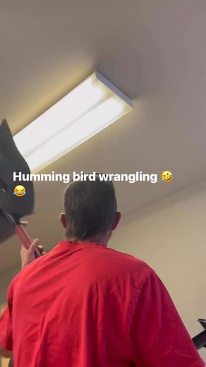 Dennis Anderson on Reels