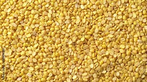 Macro video of moong dal. Close up of yellow lentis kept on rotating disk. 360 degree rotation of moong dals.