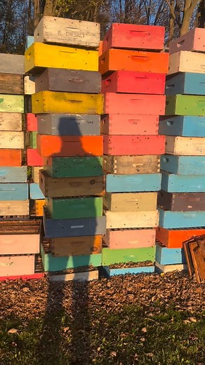 Honey extraction season has arrived! 🍯 Follow along for a behind-the-scenes look at how our honey goes from our hives to your morning smoothie. | Thames River Melons