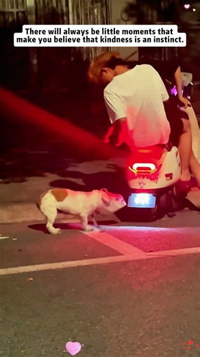 Let's work together to make the world a better place. #love #shorts#help #kindness #respect