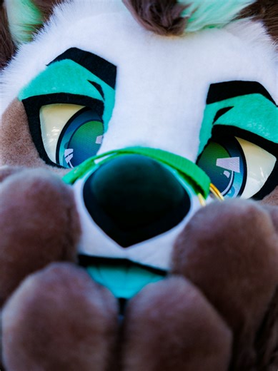 Cute Furry Moments with Jasper's Pup