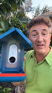 🚨 It’s here — Birdbuddy’s Black Friday Sale! Get up to 50% OFF the world’s first smart bird feeder 🐦 📸 Capture stunning HD photos & videos 📲 Get real-time alerts when birds visit 🔍 Identify 1000 species automatically Thousands of bird lovers already use Birdbuddy to reconnect with nature — now’s your turn. Hurry — this deal ends soon! | Birdbuddy