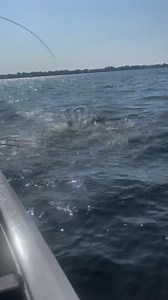 14K views · 451 reactions | Lowrance Active Target>>>> | Jordan Lee | Facebook