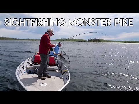 Sight Fishing Monster Pike & Lake Trout On A Fly | Scott Lake