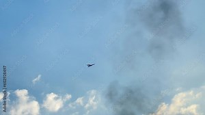 hawk flying in the blue cloudy sky with grey smoke in the background