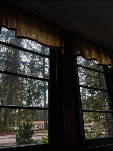 Exploring Forks: The Small Town Every Twilight Fan Loves