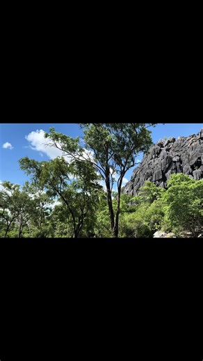 Chillagoe Caves #chillagoe #chillagoecaves #cairns #travel #adventure #nature #livingourbestlife #fyp