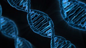 New Method for Synthesizing DNA May Improve Therapeutics | Cell And Molecular Biology