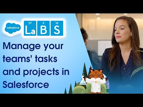 Salesforce Labs- Project Management Tool