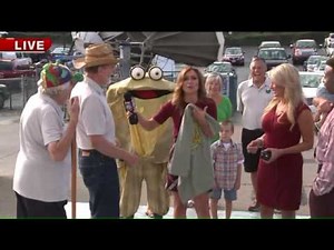 Frog Jumping Contest