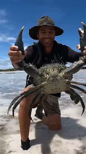 This Crab Can Regrow Its Claw! 🦀 Nature’s Incredible Power
