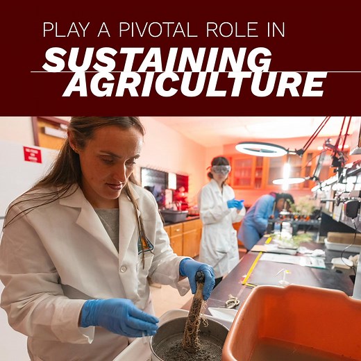 Every lab session, field trial, and project at Texas A&M is designed to prepare you to solve the world’s biggest food, fuel, and climate challenges. | Study College