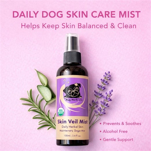 Daily Dog Skin Care Mist | Alcohol-free Herbal Hydrosol for Sensitive Dogs - Etsy
