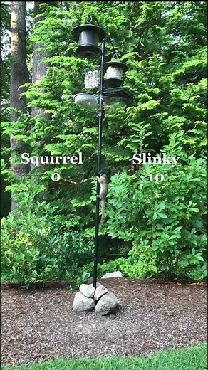 Squirrel vs. Slinky: The Ultimate Bird Feeder Hack!! - Watch the Hilarious showdown!