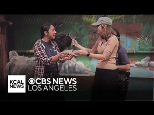 Exploring a living classroom at Moorpark College | Let’s Go Places