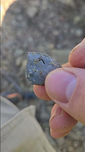 306 million year old barnacle boring trace fossil #fossil #paleontology
