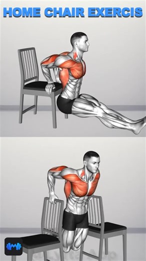 MuscleMaxme on Instagram: "Home chair workout #musclemaxme #fitness #musclebuilding #muscle"