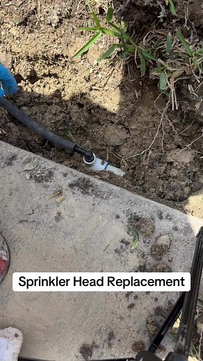 Sprinkler Head Replacement: A Step-by-Step Guide