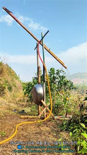 A Homemade Bamboo Bird Scaring Device in the Count