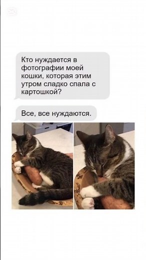 🤣 #видеошутки #юмор #смехпродлеваетжизнь