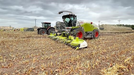 CLAAS 970 Forage Harvester in Action: Chopping Silage