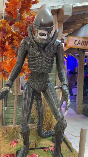 Spotted an ALIEN xenomorph at Spirit Halloween. 😱