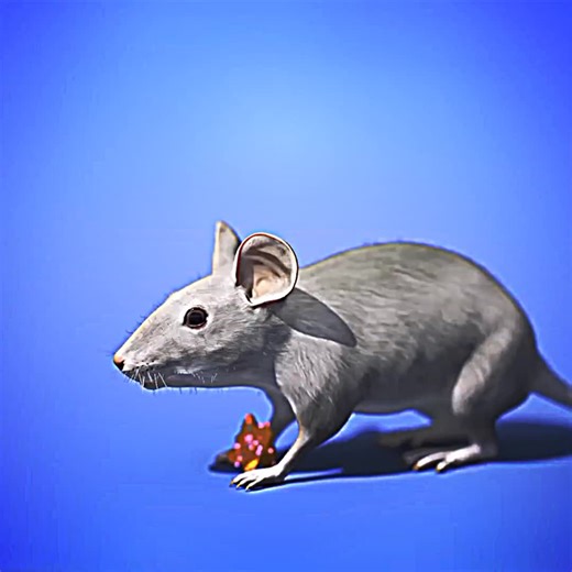 The Fascinating Science Behind Self-Sacrificing Parasites