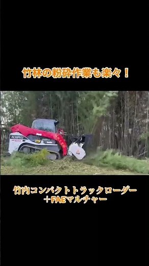 竹林の粉砕作業も楽々！竹内＋FAEマルチャーの粉砕風景 ＃ #マルチャー#林業機械 #建機レンタル