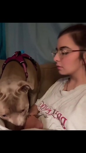 Funny Pet Moments That Will Make You Laugh