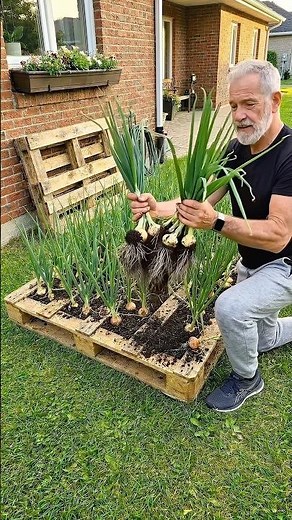 No Space? Grow Tons of Veggies with This Pallet Garden DIY! 🏡