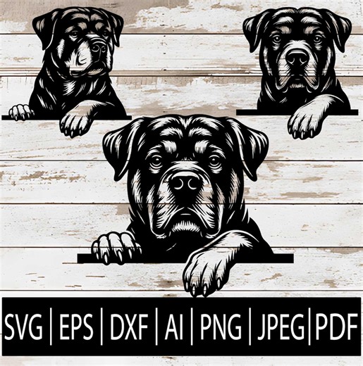 Rottweiler SVG Bundle | 3 Peeking Rottweiler Head Designs | Rottie Dog Designs Clipart for Cricut Sub Laser Cnc | Svg Eps Png Dxf Jpg Pdf Ai - Etsy Canada