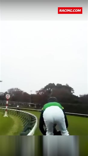 Equinox's Japan Cup Victory | Christophe Lemaire's POV