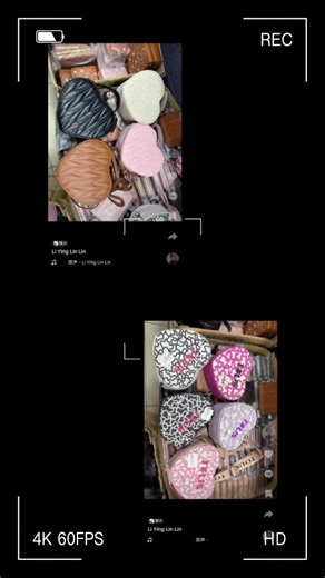 Li Ying Lin Lin on TikTok