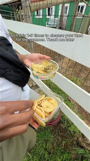 Imagine Eating Sabra Here