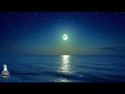 Sleep music 🌙 Wave sound ⎪ Ocean waves and seagulls: Ocean Waves (Sleep Music)