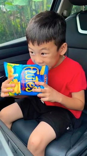 Em trai tìm kiếm một hồi lâu và phát hiện ra đây chính là con mèo trong điện thoại