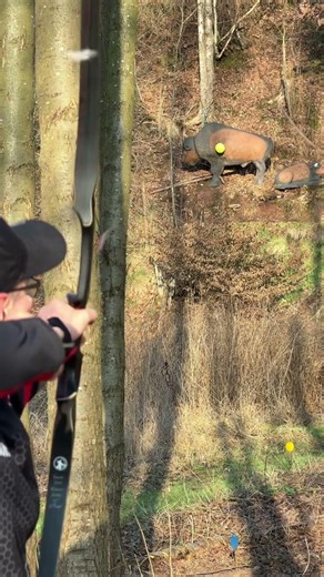 40yard ballon on Bison | 3D Archery 🏹 #archery #traditionalarchery #slowmotion #shorts