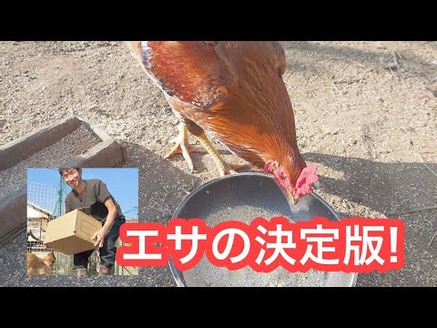 ニワトリのエサに悩んでいるあなた、これを選べば間違いなし！(最高級の飼料)