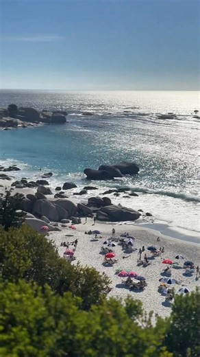 Dig into our WCafe summer menu ☀️ Grab a seat inside or out and turn lunch into a summer moment 🌿✨ | WOOLWORTHS