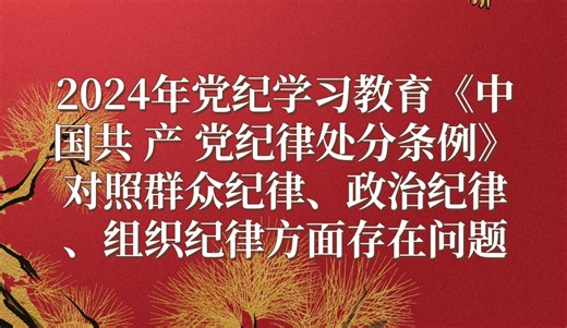 2024年党纪学习教育《中国共产党纪律处分条例》对照群众纪律、政治纪律、组织纪律方面存在问题