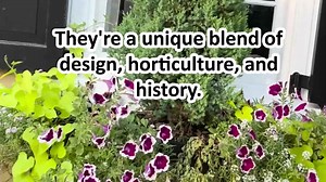 Window boxes of Charleston – more than what meets the eye