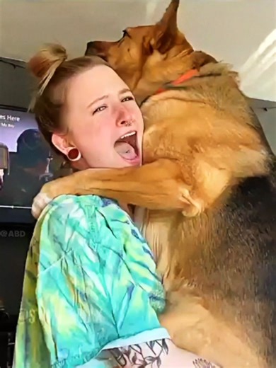 #learnontiktok #usa #storytime #foryou #fyp | Bruno Dog