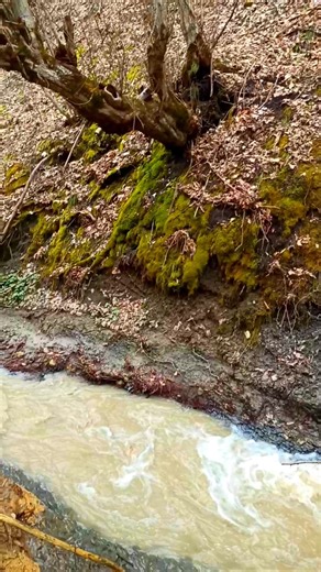 Оползни появились в Дагестане и гулять в природе опасно #туризм