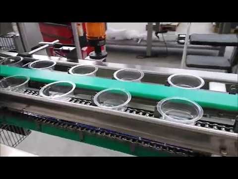 Tecnovac Orion - 120 ppm automatic tray sealing line for avocado paste
