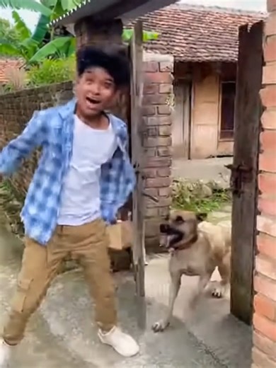 Dog Biting Incident: What You Should Know