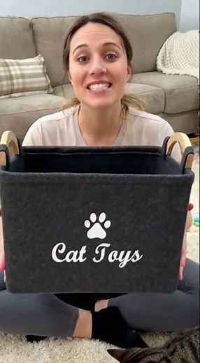 Felt Pet Toy Storage Basket