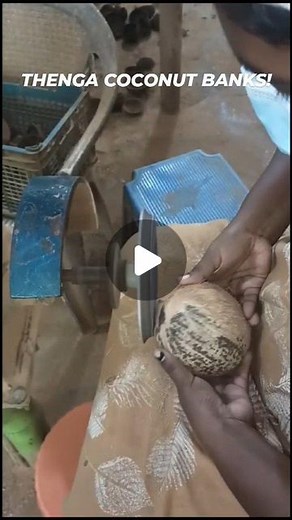 Thenga Coco on Instagram: "Behind the scenes of our coconut banks made with a full coconut shell for a 100% eco-friendly gift for kids. 🌿 #coconutbowl #coconutteacup #coconutshell #handmade #piggybank #ecofriendly #sustainablegifting #artisan #coconutshellcraft #instagood #instagram #thengacoco #thenga #womenempowerment #nature #birthdaygift #plasticfree #zerowasteliving #kerala #smallbusiness #buylocal #gifting #manufacturing"