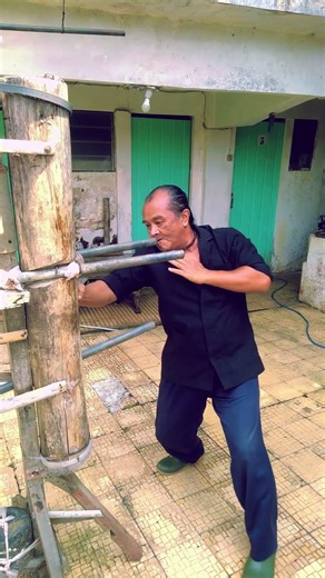 Wing Chun: Targeting the Head with Precision